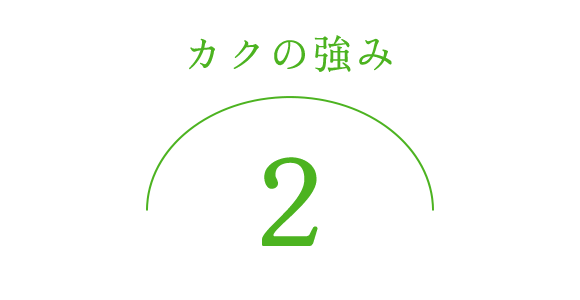 カクの強み2